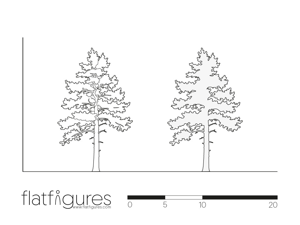 Nadelbaum seitlich 11 - CAD Figur