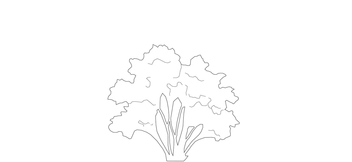 Pflanzen