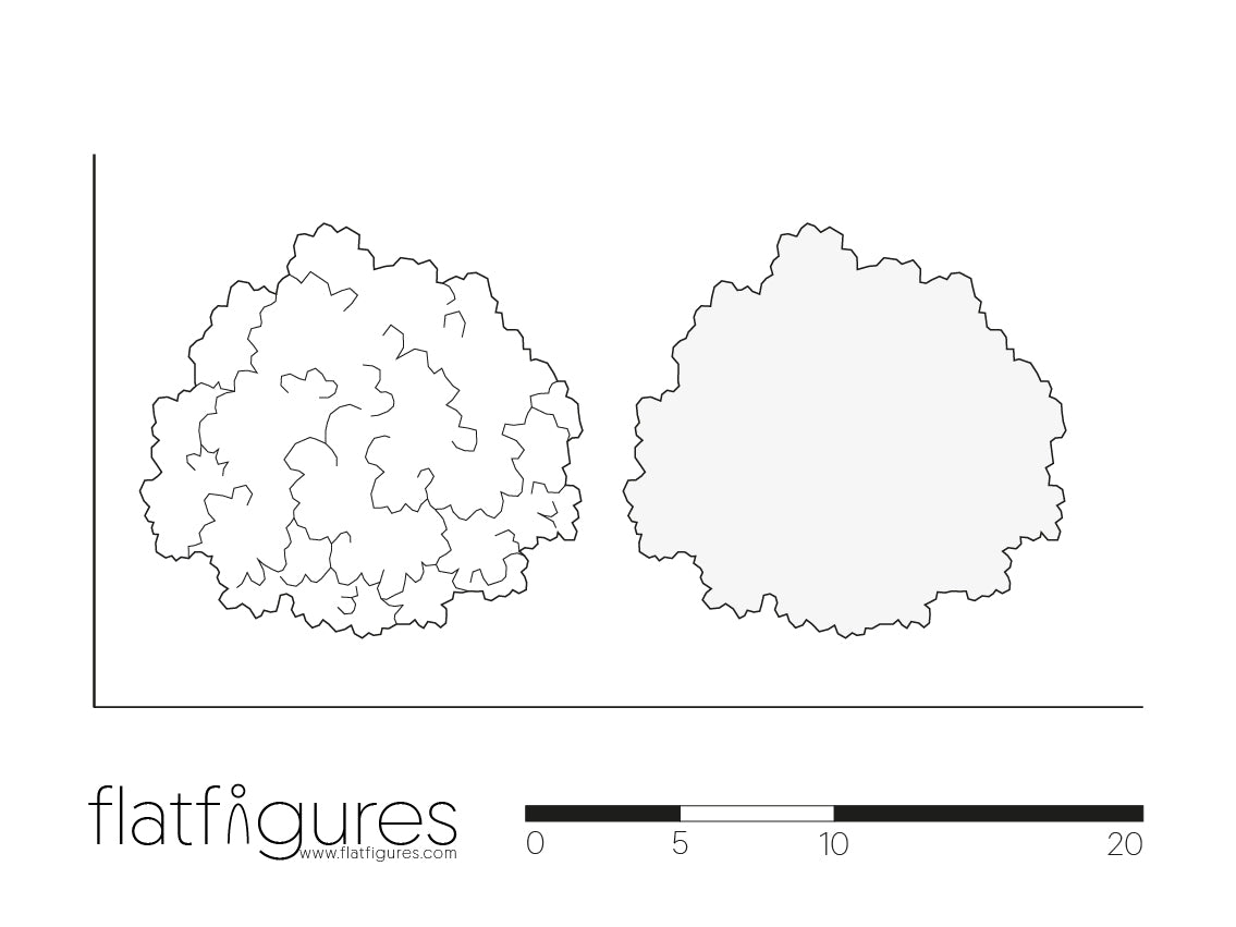 Laubbaum Draufsicht 02 - CAD Figur