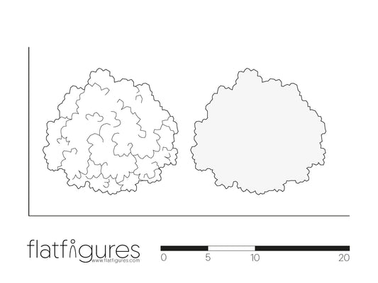 Laubbaum Draufsicht 02 - CAD Figur