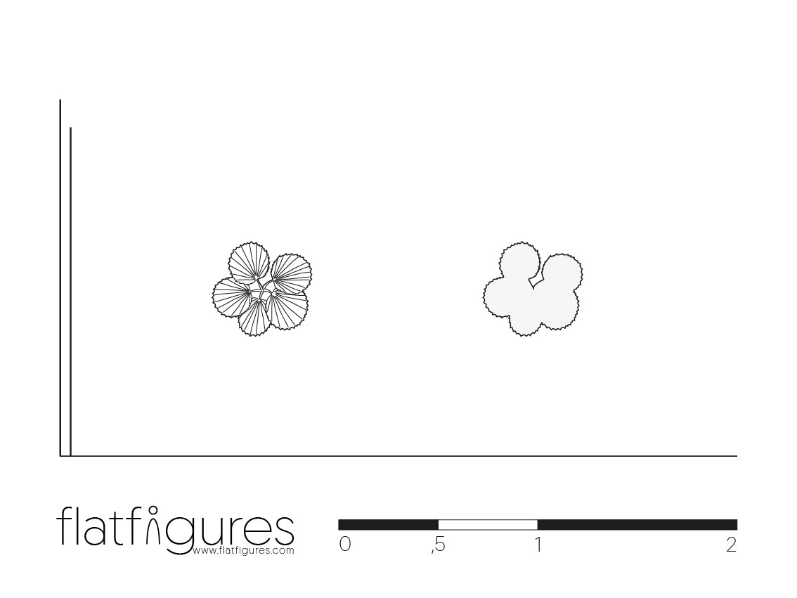 Topfpflanze Draufsicht 01 - CAD Figur